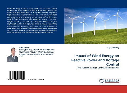 Impact of Wind Energy on Reactive Power and Voltage Control: Wind Turbine, Voltage Control, Reactive Power
