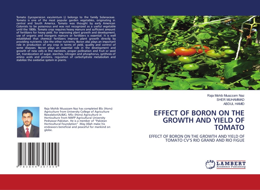 EFFECT OF BORON ON THE GROWTH AND YIELD OF TOMATO: EFFECT OF BORON ON THE GROWTH AND YIELD OF TOMATO CVS RIO GRAND AND RIO FIGUE
