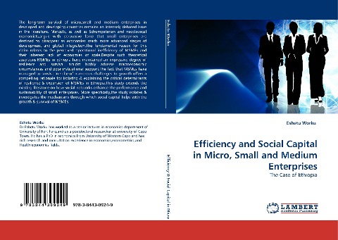 Efficiency and Social Capital in Micro, Small and Medium Enterprises: The Case of Ethiopia