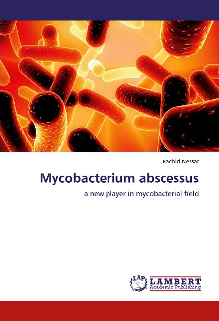 Mycobacterium abscessus: a new player in mycobacterial field
