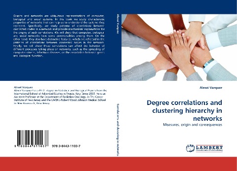 Degree correlations and clustering hierarchy in networks: Measures, origin and consequences