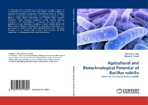 Agricultural and Biotechnological Potential of Bacillus subtilis: Beneficial Activity by Bacillus subtilis