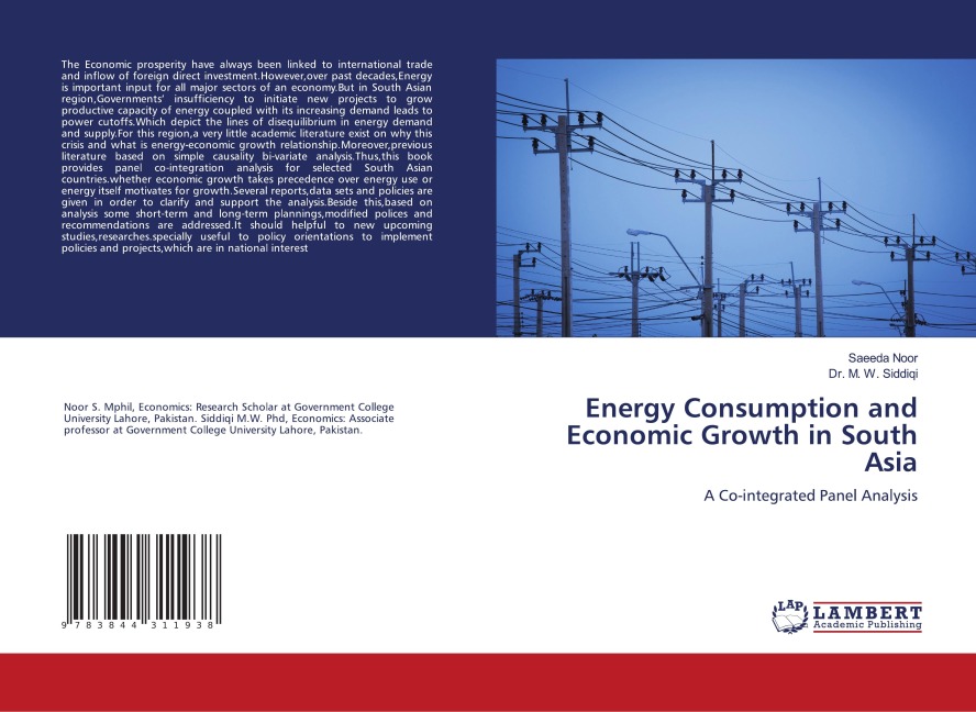 Energy Consumption and Economic Growth in South Asia: A Co-integrated Panel Analysis