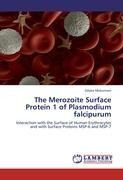 The Merozoite Surface Protein 1 of Plasmodium falcipurum: Interaction with the Surface of Human Erythrocytes and with Surface Proteins MSP-6 and MSP-7