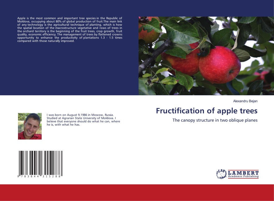 Fructification of apple trees: The canopy structure in two oblique planes