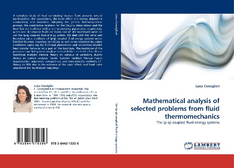 Mathematical analysis of selected problems from fluid thermomechanics: The (p-q) coupled fluid-energy systems