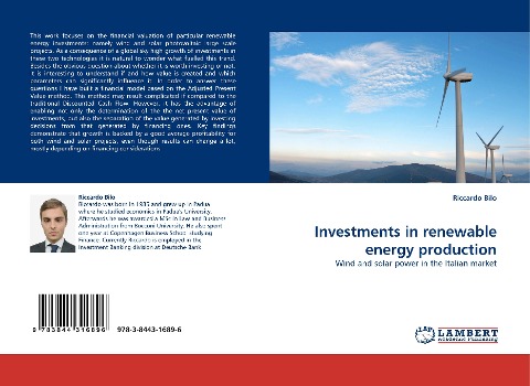 Investments in renewable energy production: Wind and solar power in the Italian market