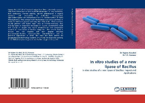 In vitro studies of a new lipase of Bacillus: In vitro studies of a new lipase of Bacillus: Impact and Applications