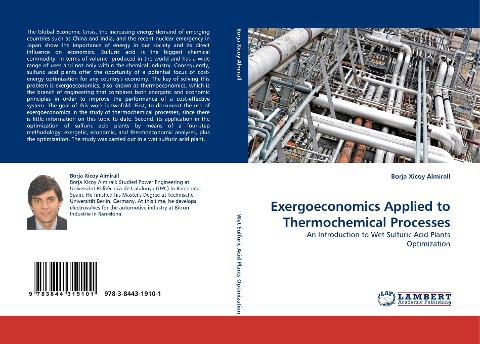 Exergoeconomics Applied to Thermochemical Processes: An Introduction to Wet Sulfuric Acid Plants Optimization