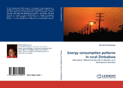Energy consumption patterns in rural Zimbabwe: with special reference to the role of electricity as a development incentive