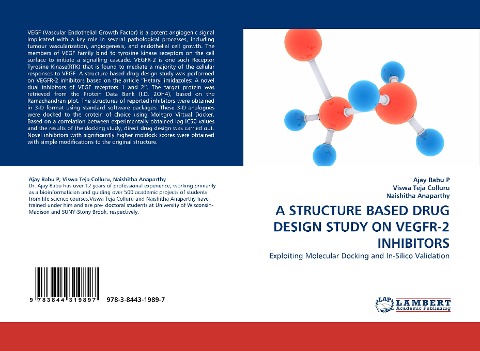 A STRUCTURE BASED DRUG DESIGN STUDY ON VEGFR-2 INHIBITORS: Exploiting Molecular Docking and In-Silico Validation