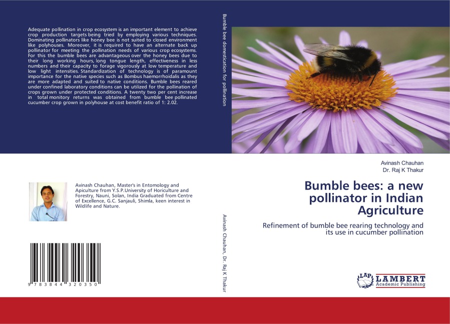 Bumble bees: a new pollinator in Indian Agriculture: Refinement of bumble bee rearing technology and its use in cucumber pollination