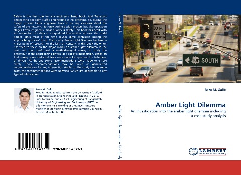 Amber Light Dilemma: An investigation into the amber light dilemma including a case study analysis