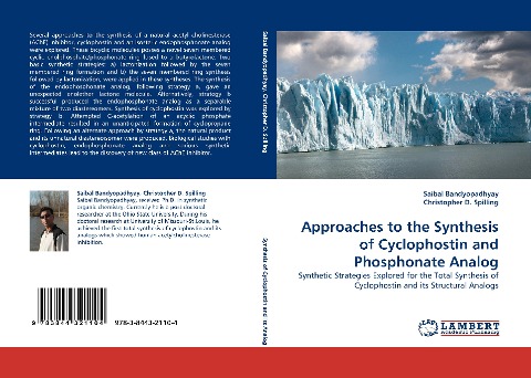 Approaches to the Synthesis of Cyclophostin and Phosphonate Analog: Synthetic Strategies Explored for the Total Synthesis of Cyclophostin and its Structural Analogs