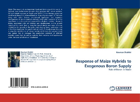 Response of Maize Hybrids to Exogenous Boron Supply: Role of Boron in Maize