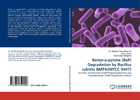 Benzo-a-pyrene (BaP) Degradation by Bacillus subtilis BMT4i(MTCC 9447): Isolation, Identification of BaP Degrading Bacteria and Characterization of BaP Degradation Activity