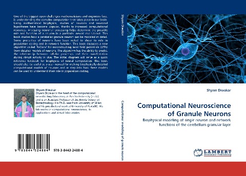 Computational Neuroscience of Granule Neurons: Biophysical modeling of single neuron and network functions of the cerebellum granular layer