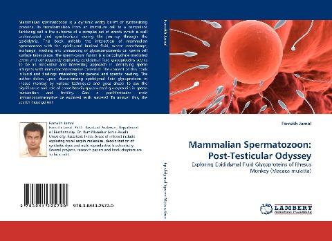 Mammalian Spermatozoon: Post-Testicular Odyssey: Exploring Epididymal Fluid Glycoproteins of Rhesus Monkey (Macaca mulatta)