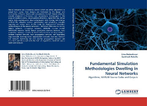 Fundamental Simulation Methodologies Dwelling in Neural Networks: Algorithms, MATLAB Source Codes and Outputs
