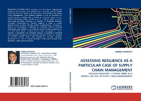 ASSESSING RESILIENCE AS A PARTICULAR CASE OF SUPPLY CHAIN MANAGEMENT: ASSESING RESILIENCE IN POWER GRIDS AS A PARTICULAR CASE OF SUPPLY CHAIN MANAGEMENT