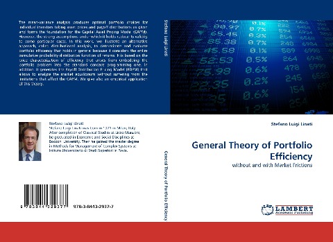 General Theory of Portfolio Efficiency: without and with Market Frictions