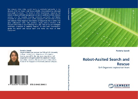 Robot-Assited Search and Rescue: Self-Organised exploration team