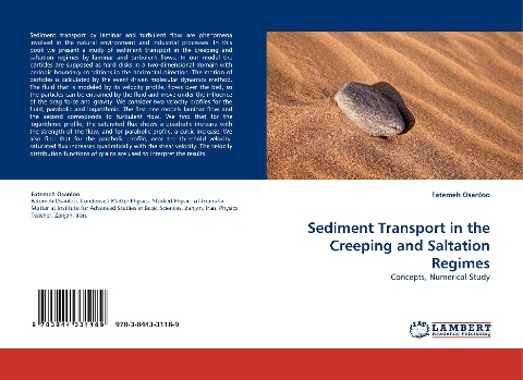 Sediment Transport in the Creeping and Saltation Regimes: Concepts, Numerical Study