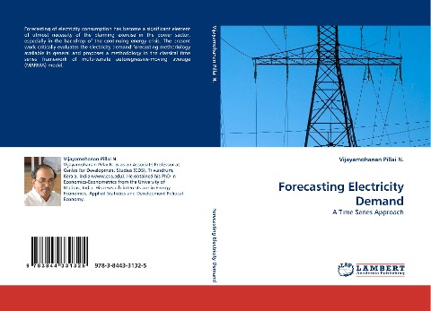 Forecasting Electricity Demand: A Time Series Approach