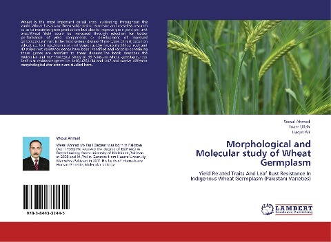 Morphological and Molecular study of Wheat Germplasm: Yield Related Traits And Leaf Rust Resistance In Indigenous Wheat Germplasm (Pakistani Varieties)