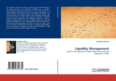 Liquidity Management: Liquidity Management of Public Sector Iron and Steel Enterprises in India