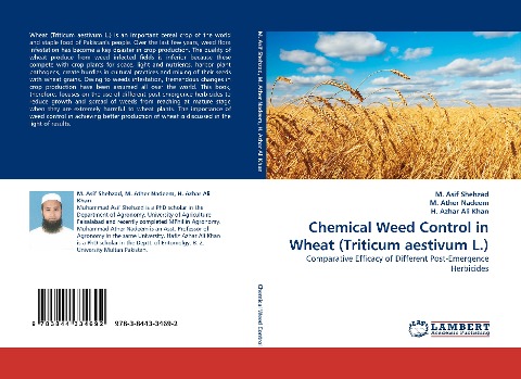 Chemical Weed Control in Wheat (Triticum aestivum L.): Comparative Efficacy of Different Post-Emergence Herbicides