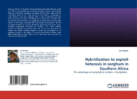 Hybridisation to exploit heterosis in sorghum in Southern Africa: The advantages of using hybrid varieties is highlighted...