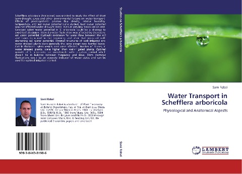Water Transport in Schefflera arboricola: Physiological and Anatomical Aspects