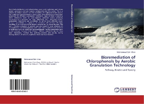 Bioremediation of Chlorophenols by Aerobic Granulation Technology: Pathway, Kinetics and Toxicity