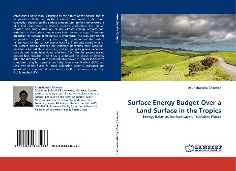 Surface Energy Budget Over a Land Surface in the Tropics: Energy Balance, Surface Layer, Turbulent Fluxes