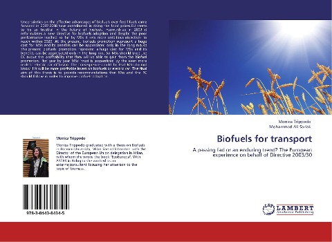 Biofuels for transport: A passing fad or an enduring trend? The European experience on behalf of Directive 2003/30