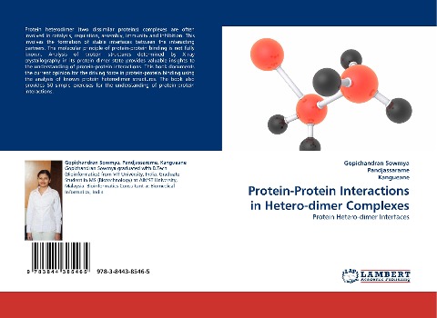 Protein-Protein Interactions in Hetero-dimer Complexes: Protein Hetero-dimer Interfaces