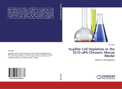 Kupffer Cell Depletion in the SCID-uPA Chimeric Mouse Model: Kupffer Cell Depletion