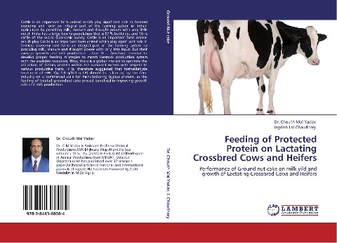 Feeding of Protected Protein on Lactating Crossbred Cows and Heifers: Performance of Ground nut cake on milk yild and growth of Lactating Crossbred Cows and Heifers