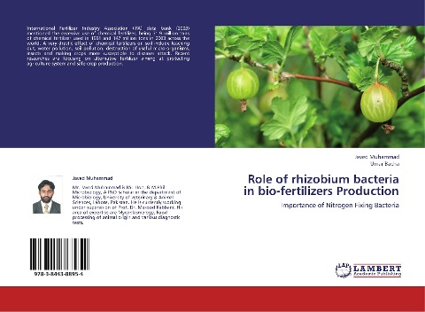 Role of rhizobium bacteria in bio-fertilizers Production: Importance of Nitrogen Fixing Bacteria