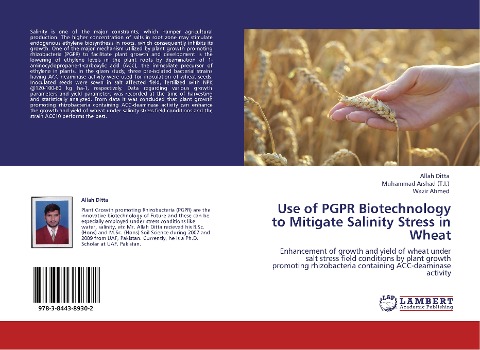 Use of PGPR Biotechnology to Mitigate Salinity Stress in Wheat: Enhancement of growth and yield of wheat under salt stress field conditions by plant growth promoting rhizobacteria containing ACC-deaminase activity