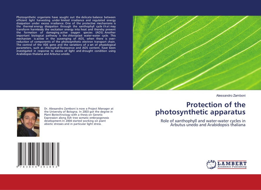 Protection of the photosynthetic apparatus: Role of xanthophyll and water-water cycles in Arbutus unedo and Arabidopsis thaliana