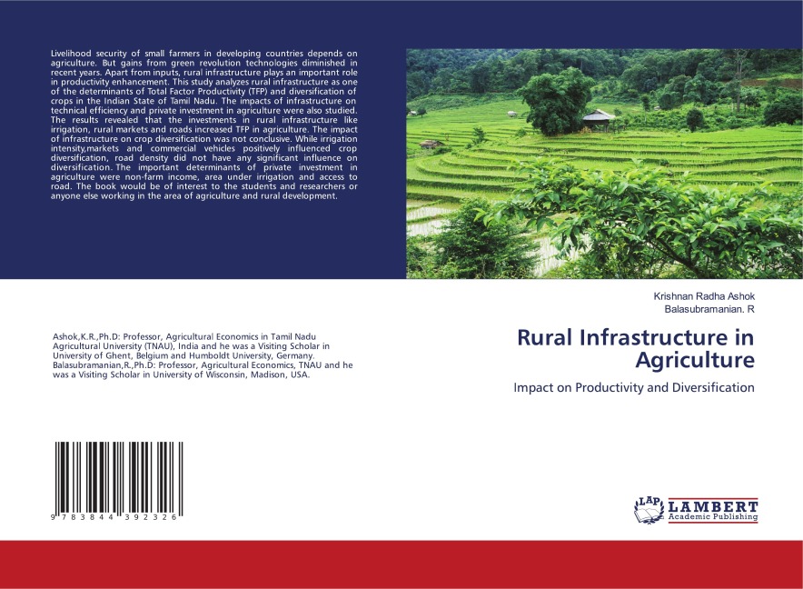 Rural Infrastructure in Agriculture: Impact on Productivity and Diversification