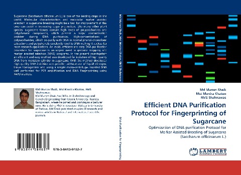 Efficient DNA Purification Protocol for Fingerprinting of Sugarcane: Optimization of DNA purification Protocol for Marker Assisted Breeding of Sugarcane (Saccharum officinarum L.)