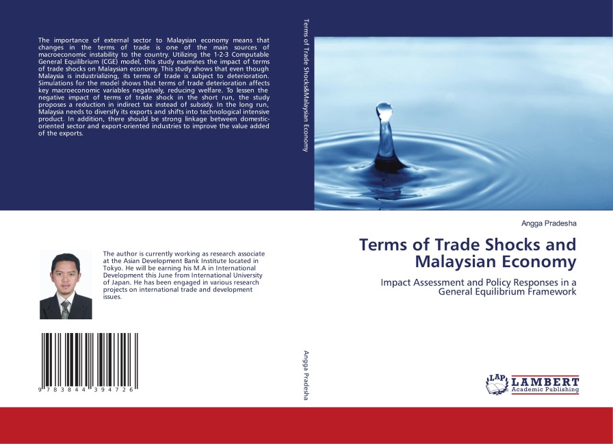 Terms of Trade Shocks and Malaysian Economy: Impact Assessment and Policy Responses in a General Equilibrium Framework