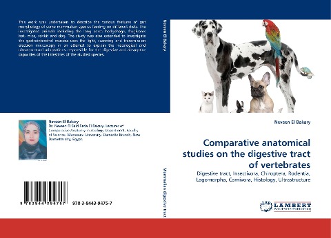 Comparative anatomical studies on the digestive tract of vertebrates: Digestive tract, Insectivora, Chiroptera, Rodentia, Lagomorpha, Carnivora, Histology, Ultrastructure