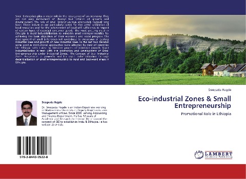 Eco-industrial Zones & Small Entrepreneurship: Promotional Role in Ethiopia