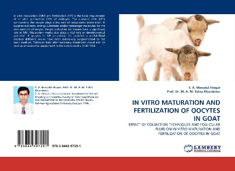 IN VITRO MATURATION AND FERTILIZATION OF OOCYTES IN GOAT: EFFECT OF COLLECTION TECHNIQUES AND FOLLICULAR FLUID ON IN VITRO MATURATION AND FERTILIZATION OF OOCYTES IN GOAT