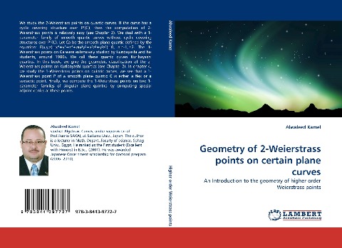 Geometry of 2-Weierstrass points on certain plane curves: An Introduction to the geometry of higher order Weierstrass points