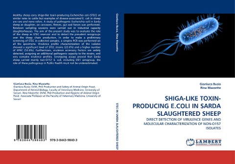 SHIGA-LIKE TOXIN-PRODUCING E.COLI IN SARDA SLAUGHTERED SHEEP: DIRECT DETECTION OF VIRULENCE GENES AND MOLECULAR CHARACTERIZATION OF NON-O157 ISOLATES